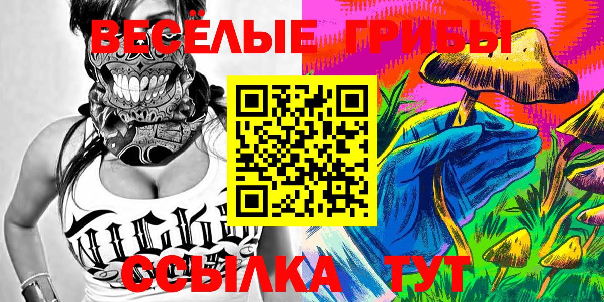 Шатура  Псилоцибиновые грибы Magic Shrooms  Вход с VPN 